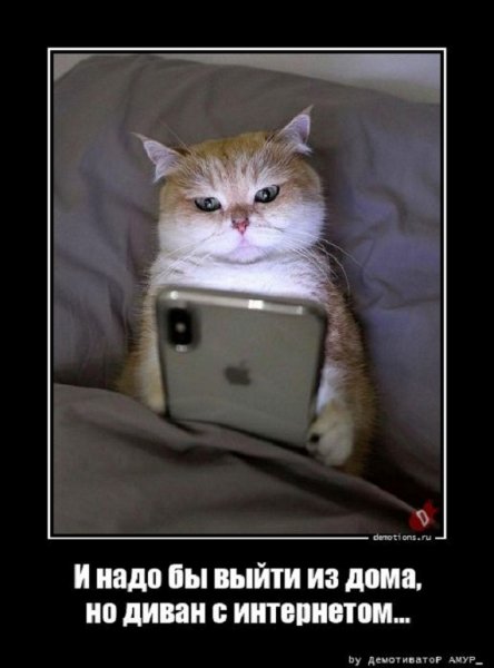 Надо выйти из дома, но диван с интернетом