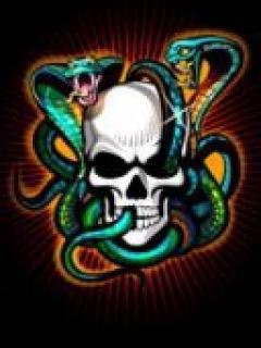 skullandsn lppk8hvv