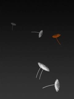 DandelionStandby