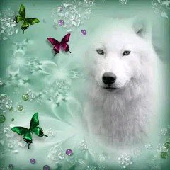 file_87491607