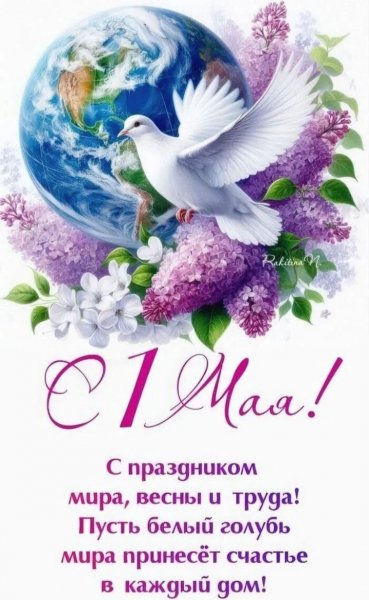IMG 20260502 235034