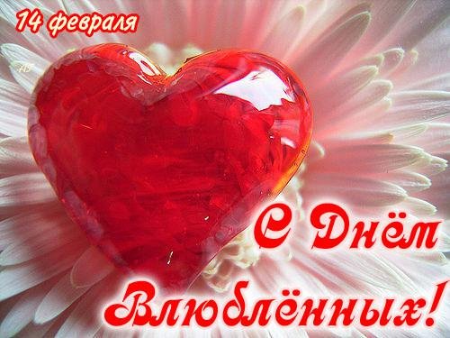 file_81167928