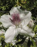 file_85274672