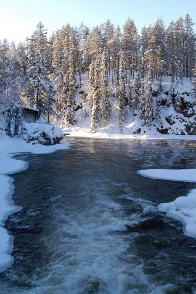 file_101550742