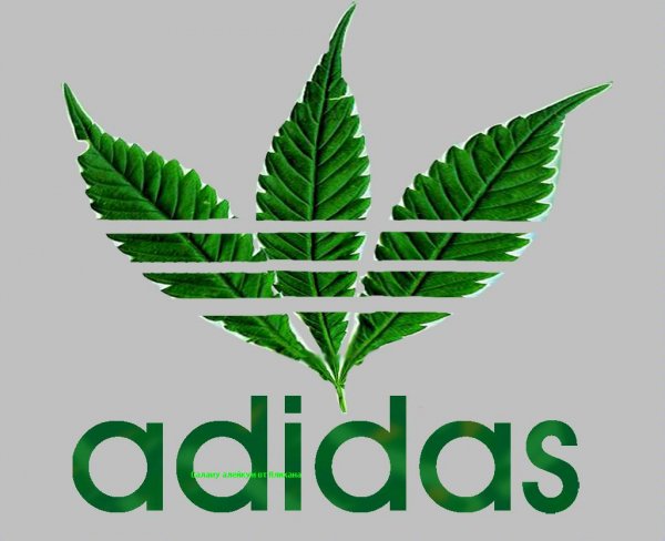 Adidas hemp