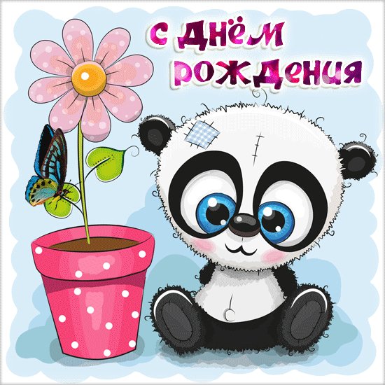 file_81124289
