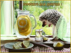 Хорошего денёчка