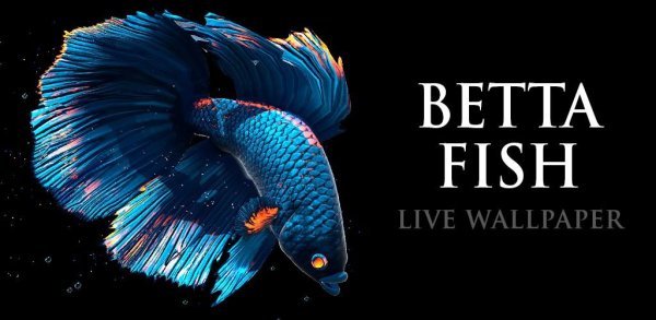 Betta Fish Live Wallpaper v1.2 arm64 mod
