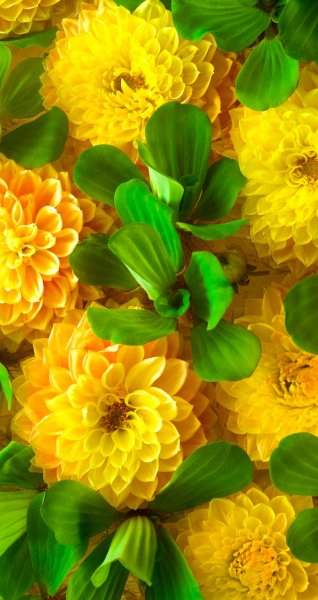 file_89980015