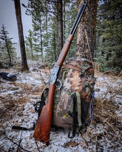 CHIAPPA 1892 CARBINE