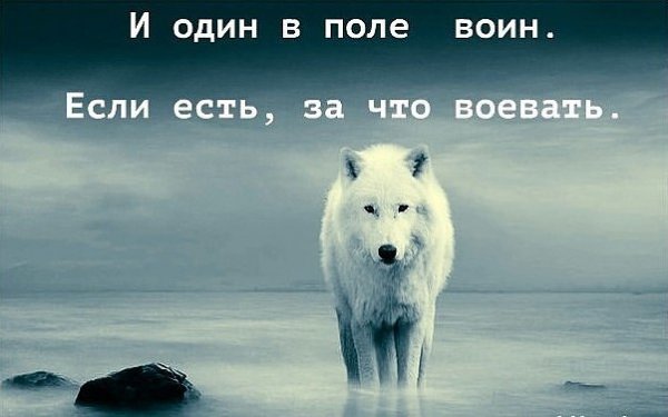 Один в поле