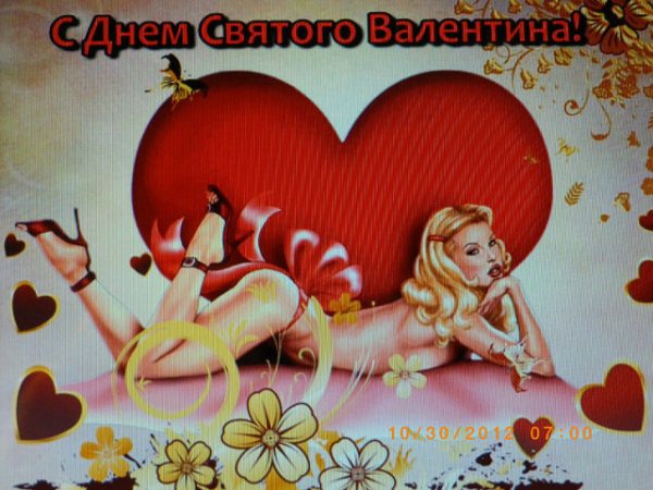 ДСВ 15