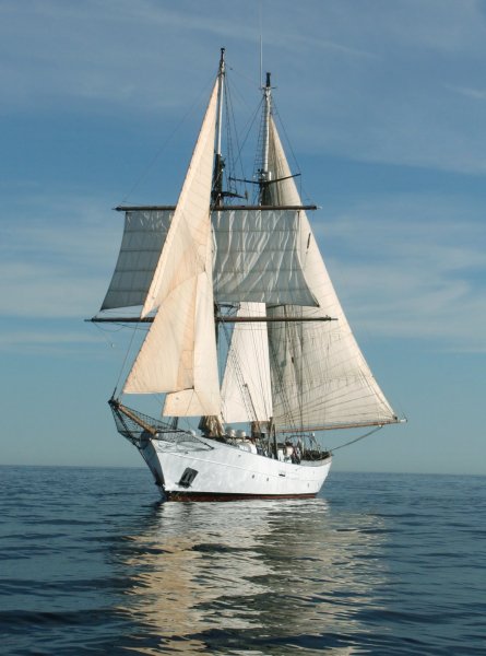 IMG viter59 102007