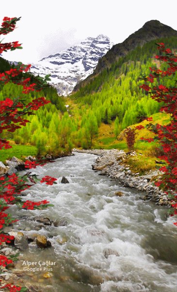 file_76462426