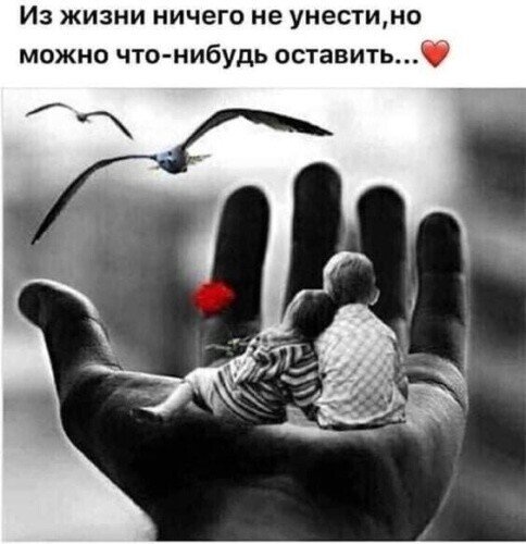 file_90094527