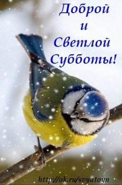 file_92195711