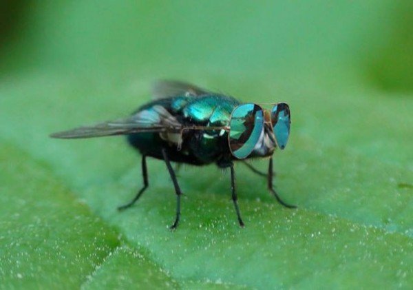 file_78647157