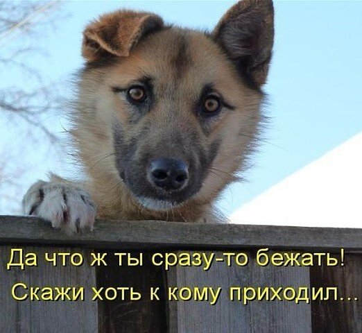 file_89611253