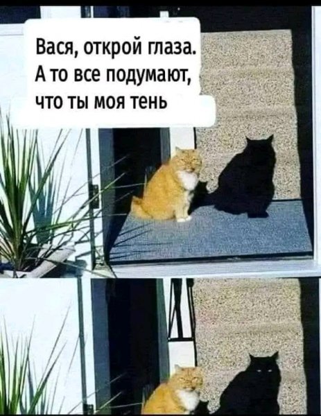file_103321442