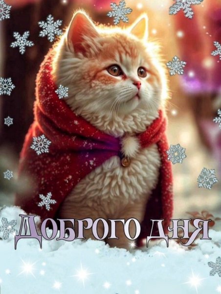 file_92476564