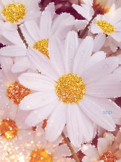 file_51444036