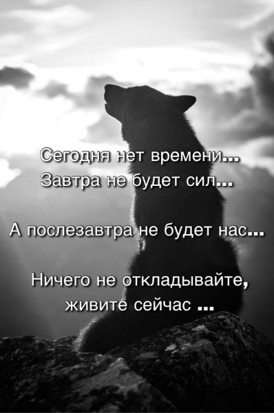 Живите сейчас