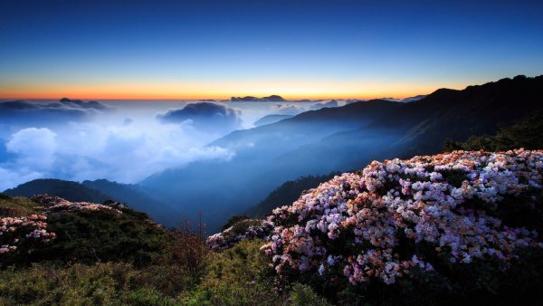 file_80666218