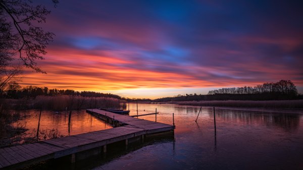 file_94708881