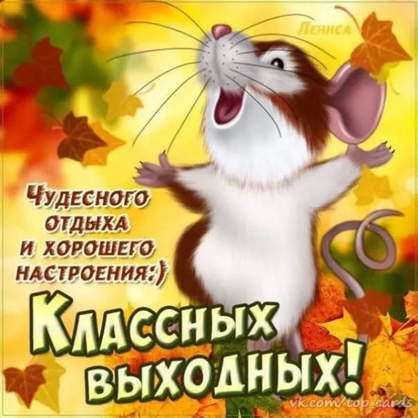 Классных выходных