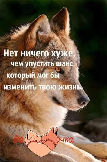 Шанс