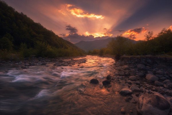 file_99775518
