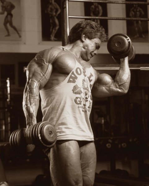 Rich-Gaspari-Bizeps-768x960