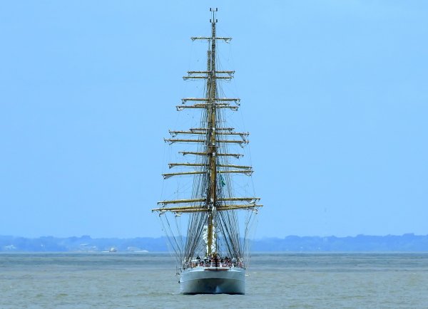 IMG ship cisne branco viter59
