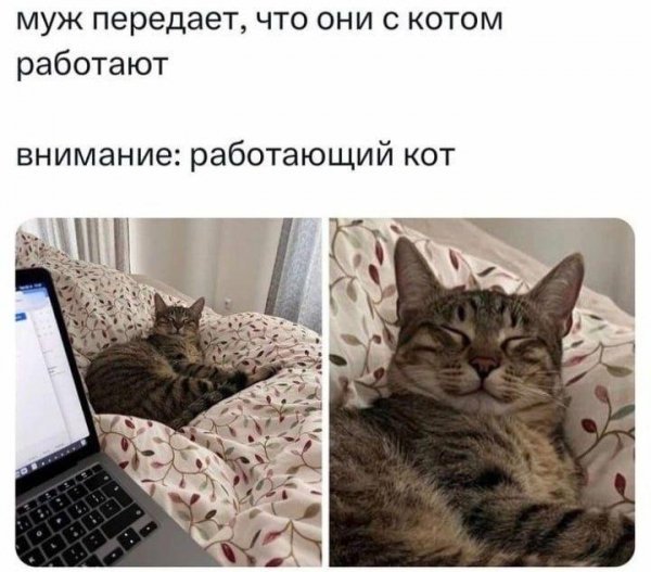 IMG 20260903 130356 863