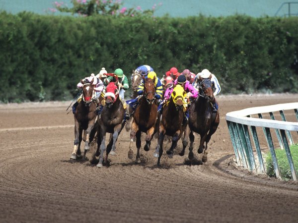 Fight to the Finish Gulfstream Park Florida