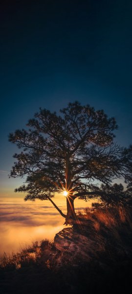 file_92869485