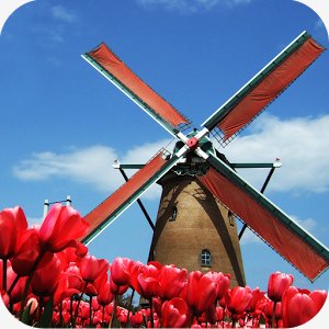 Tulip Windmill Live Wallpaper - v.2.24