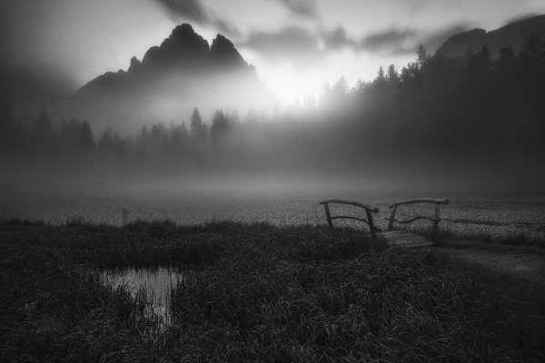 file_94437440