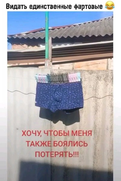 file_103352598