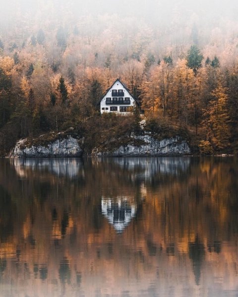 file_95062884
