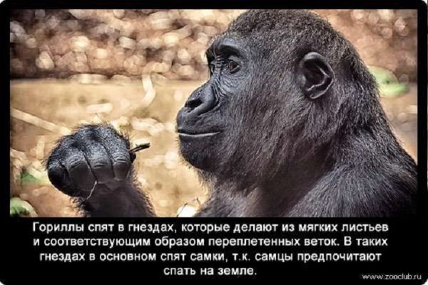 file_84402541