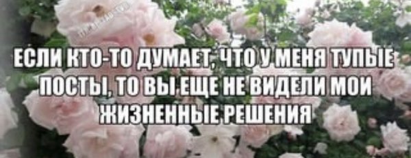 IMG 20251216 202931 384