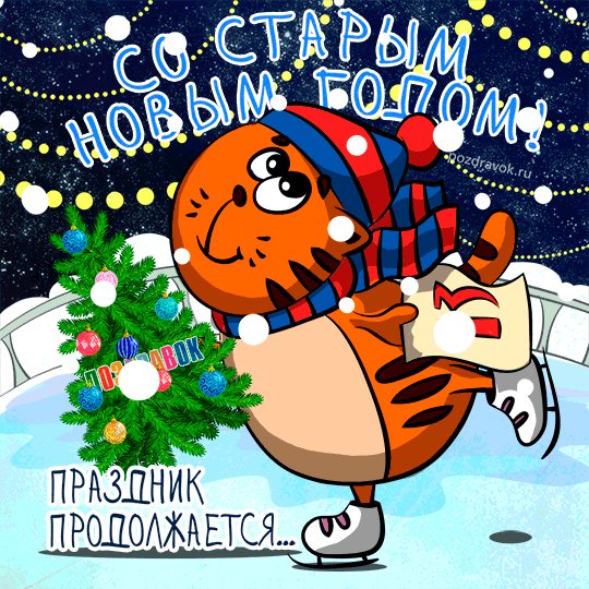 staryy-novyy-god-kot-kartinka-pozdravok