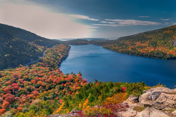 Landscape-nature-river-forest