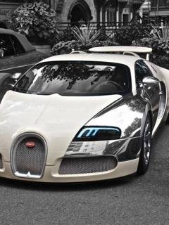 Bugatti Veyron by Ahiska
