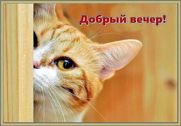 file_90212985