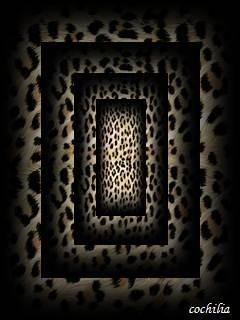 leo abstract