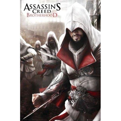 Assassins Creed - Brotherhood(100 save)