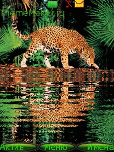 gepard