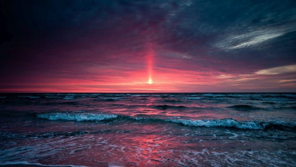 file_67900958